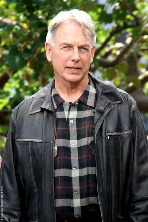 mark harmon celebrity gossip   news