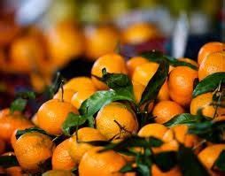 mini orangethailand price supplier food