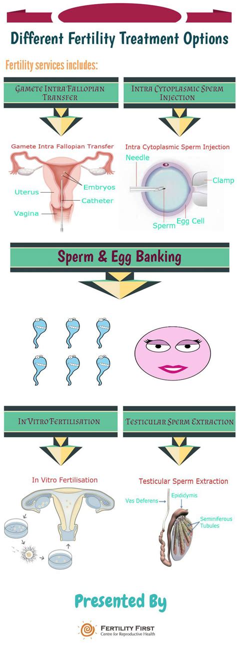 Different Fertility Treatment Options Visual Ly