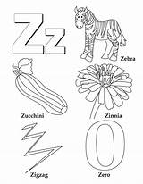 Coloring Zinnia Pages Words Sheet sketch template