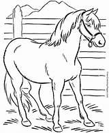 Coloring Pages Horse Horses Book Print sketch template