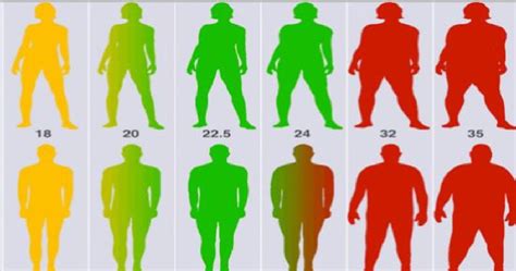 Calculez Votre Poids Idéal En Fonction De Votre Taille Votre âge Et