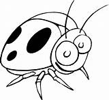Clipart Line Drawings Ladybird Clip Ladybug Outline Cliparts Designs sketch template