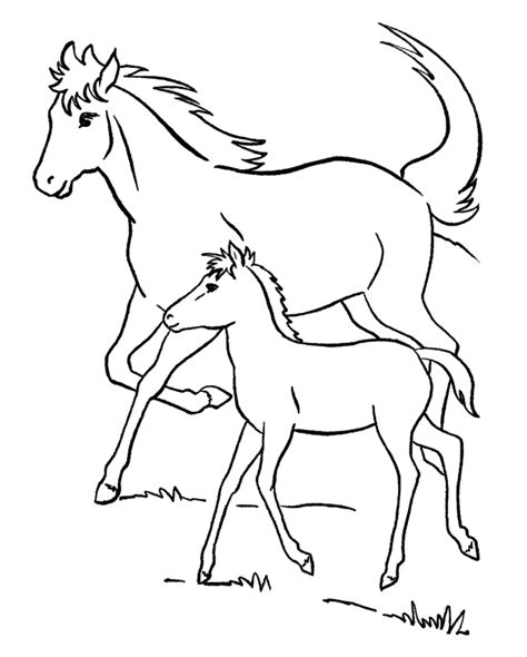 printable foal coloring pages