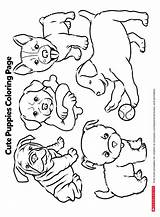 Puppies Playful Scholastic Printables Parents Worksheets sketch template