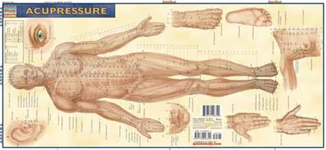 acupuncture charts and acupressure posters