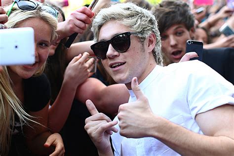 Niall Horan Votes Yes For Same Sex Marriage On Instagram