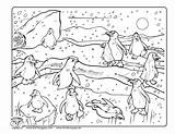 Coloring Penguin Pages Pole North Tacky Popular Library Clipart Coloringhome sketch template
