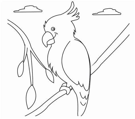 australian animals coloring pages  australian animal template animal