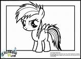 Pony Coloring Little Rainbow Dash Pages Baby Equestria Mlp Girls Colouring Printable Miracle Timeless Girl Minister Colors Team Library Comments sketch template