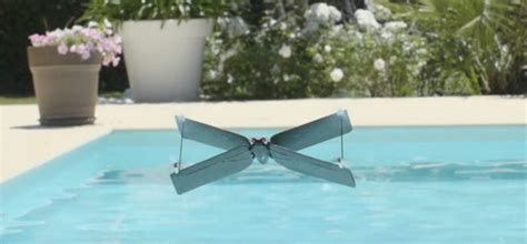 parrot unveils   winged drone popular science