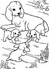 Hunde Malvorlagen Ausmalbilder Kostenlos Drucken Hund Ausdrucken Raskraski sketch template