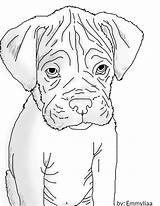Boxer Coloring Pages Puppy Dog Drawing Dogs Lineart Draw Print Printable Astounding Wonderful Deviantart Getdrawings Color Getcolorings sketch template