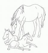 Fohlen Pferde Ausmalbilder Foal Foals Schleich Ausmalbild Caballos Malvorlage Tiere Filly Gedanke Entwurf Mother Artigo sketch template