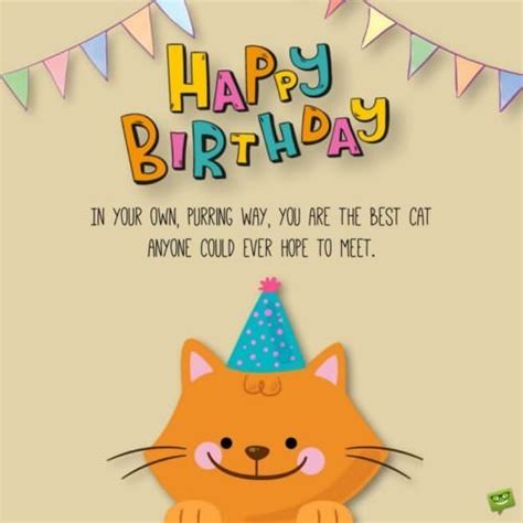 Happy Birthday Kitty Purry Wishes For [and With] Cats