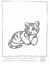Tiger Coloring Baby Cute Pages Kids Tigers Animals Wonderweirded Color Wildlife Echo Cubs Print Cartoon Mother Colouring Library Clipart Popular sketch template