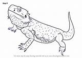 Bearded Dragon Draw Step Drawing Coloring Sketch Lizards Pages Line Drawingtutorials101 Tutorials Choose Board Learn sketch template