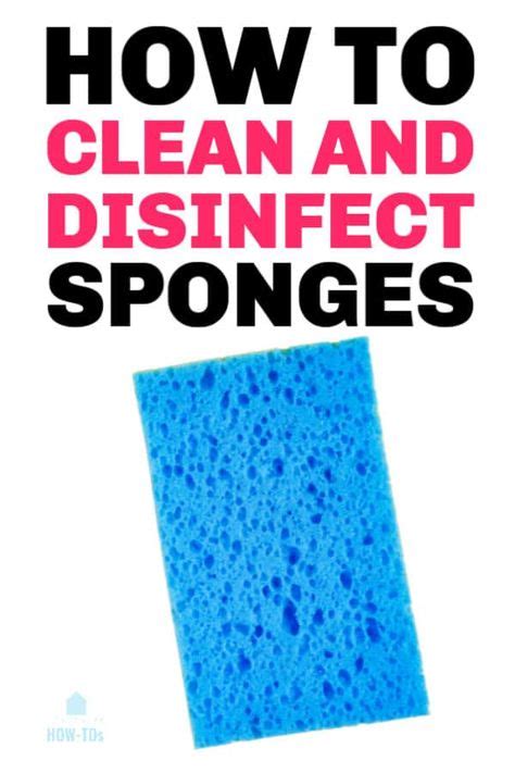 clean  disinfect kitchen sponges   kitchen sponge