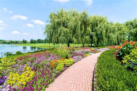 wisteria draped pergolas  flower lined pools  visit