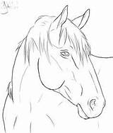 Horse Drawing Drawings Line Coloring Head Horses Pages Lineart Deviantart Easy Animal Trace Cheval Pencil Simple Sketches Dessin Digital Sketch sketch template