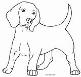 Hund Ausmalbilder Malvorlage Kostenlos Cool2bkids Ausdrucken Malvorlagen sketch template