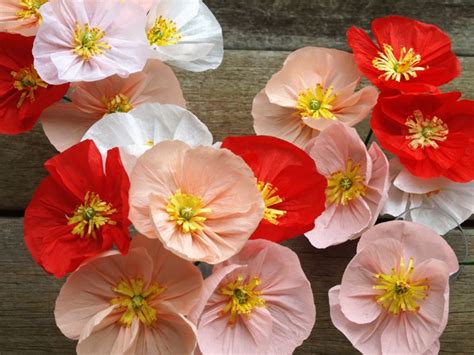 colourful crepe paper poppies hand   order paper flowers crepe