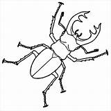 Coloring Beetle Pages Stag Beetles Coloringbay sketch template