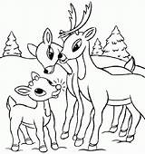 Deer Coloring Pages Baby Cute Kids Printable Buck Whitetail Family Print Drawings Easy Color Skull Colouring Getcolorings Rated Drawing Comments sketch template