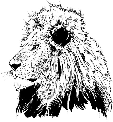 realistic lion head coloring pages coloring pages