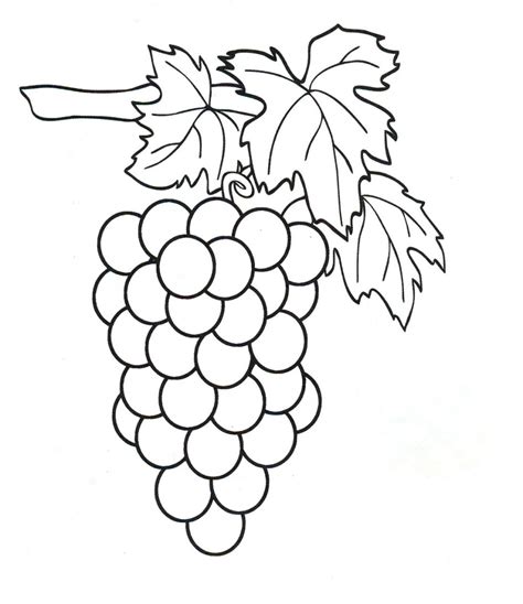 grapes coloring pages    print