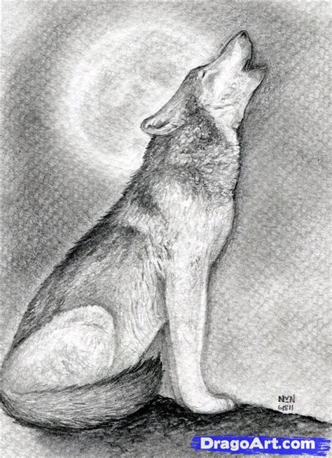 How To Draw A Howling Wolf Step By Step Realistic