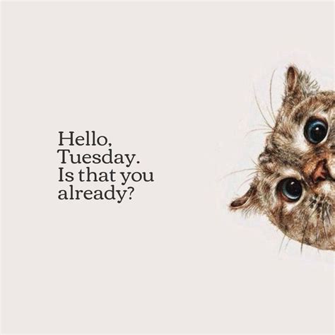 Hello Tuesday