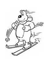 Coloring Bear Pages Ski Skiis sketch template