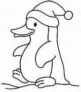 Pinguim Natal Animais Pinguins Pinguino Imagens Pintarcolorir Dibujar Tudodesenhos Pingouin sketch template
