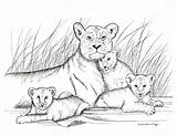 Drawing Baby Lions Mother Lion Pencil Lioness Print Drawings Cubs Cub Draw Animal Tattoo Animals Her Cute Etsy Hippo sketch template