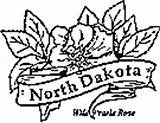 Coloring State Pages Dakota North Flowers Kids Flower sketch template