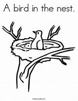 Nest Coloring Bird Clipart Drawing Library sketch template