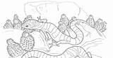 Deserts Gecko Lizard Scorching sketch template