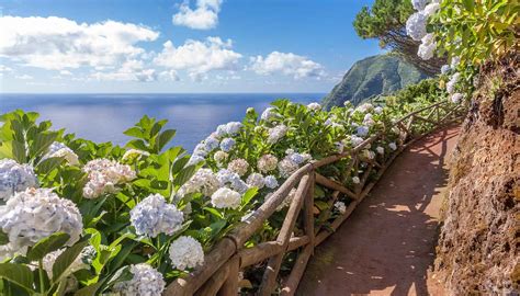 azores travel guide  travel information world travel guide