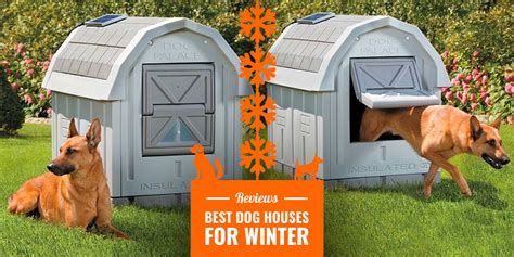 dog houses  winter reviews insulation tips diy