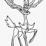 Xerneas Pokemon Pages Coloring Getcolorings Color Getdrawings sketch template