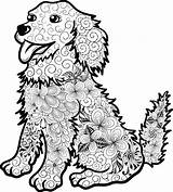 Ausdrucken Ausmalen Hunde Mandalas Hund Kostenlos Ausmalbild Welpe Hundewelpen Malvorlagen Kostenlosen Als Welpen Runterladen Malvorlage Kostenloses Genial Erwachsene Adler Zeichnungen sketch template