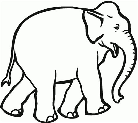 printable elephant coloring pages francesco printable