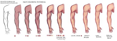 skin coloring tutorial  sellenin  deviantart