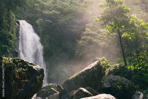 View Of The Rushing Water Of Trafalgar Falls In The Misty Rainforest On