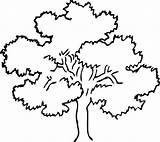 Malvorlagen Trees Outlines sketch template