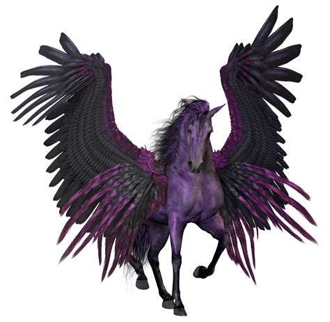photo  pegasus flying winged horse pony