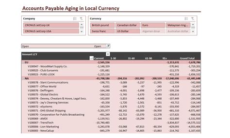accounts payable aging sample reports dashboards insightsoftware