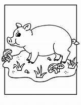 Pig Coloring Pages Kids Printable Template Pigs Valentine Baby Farm Colouring Bestcoloringpagesforkids Cute Sheets Animal Animals Printables Jr Templates Cartoon sketch template
