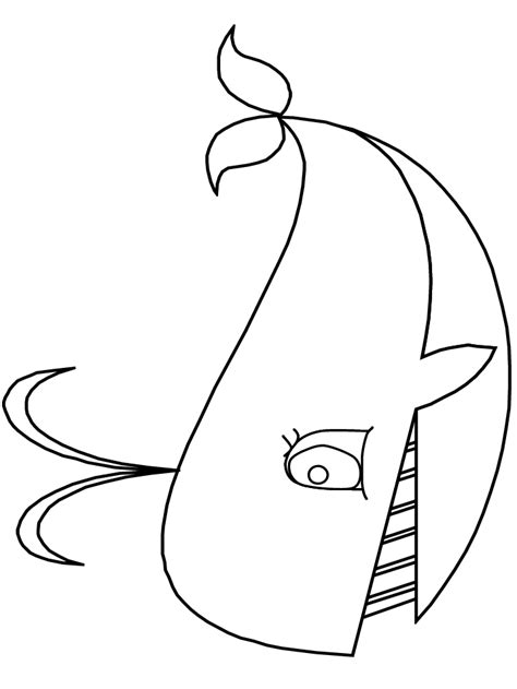 ocean whale animals coloring pages coloring book